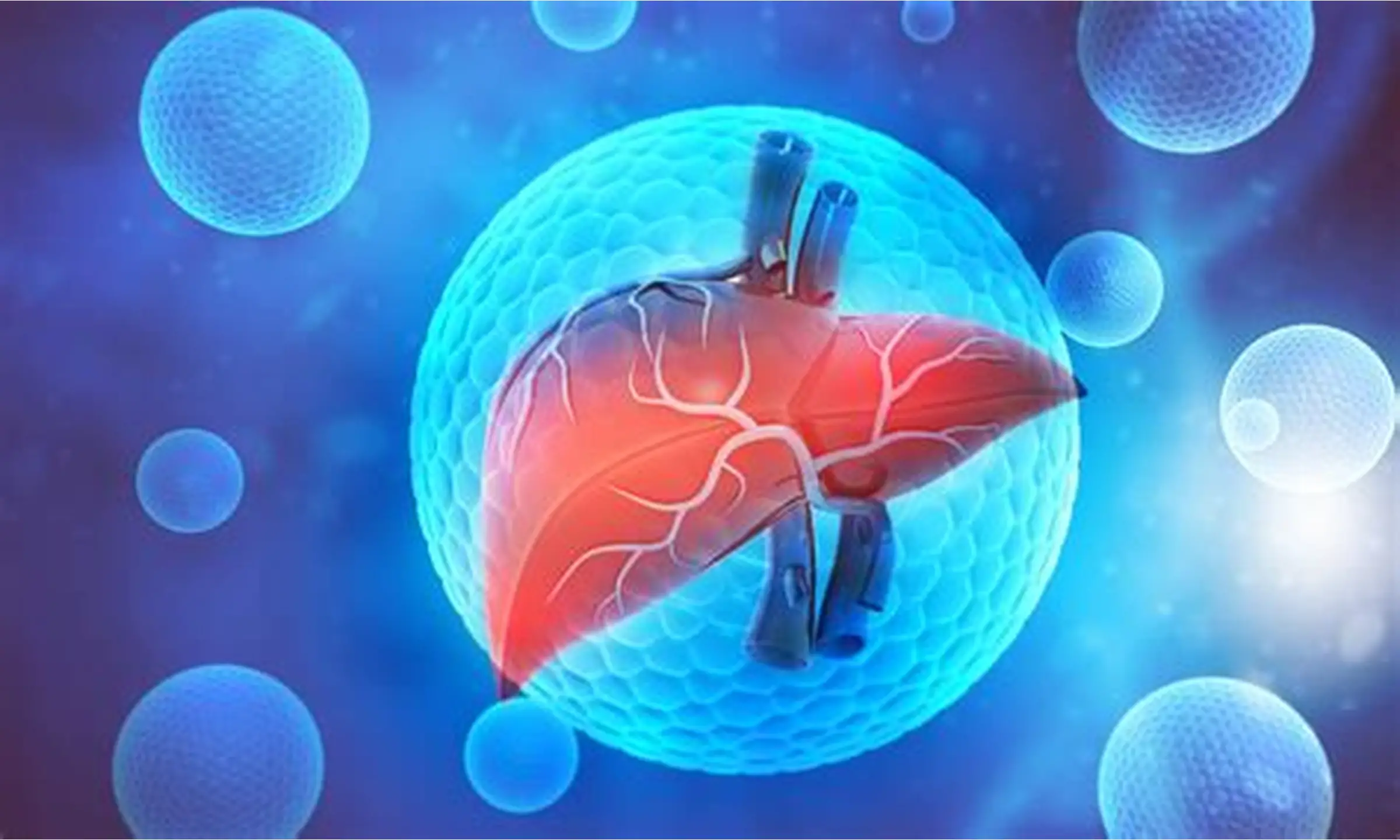 Viral hepatitis evaluation and liver protection at Healtree Hospital