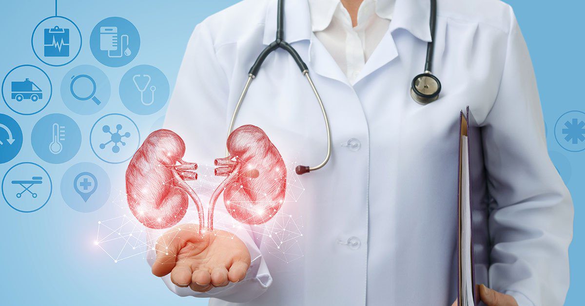 Expert nephrology and kidney care at Heal Tree Hospital Neelankarai