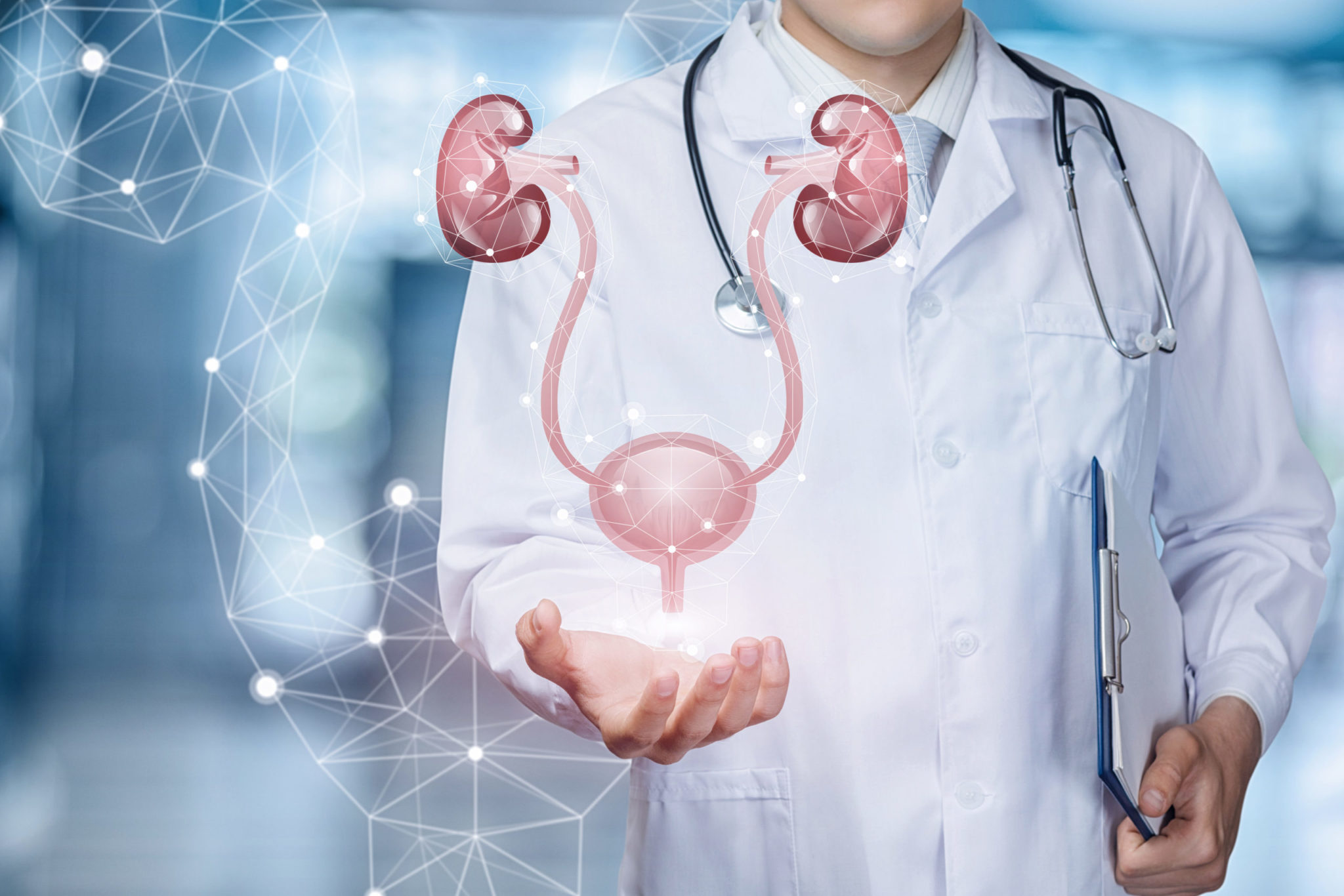 Expert urology care for urinary tract and kidney health at Heal Tree Hospital Neelankarai